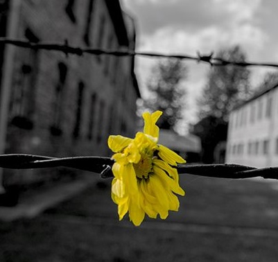 Giornata della memoria