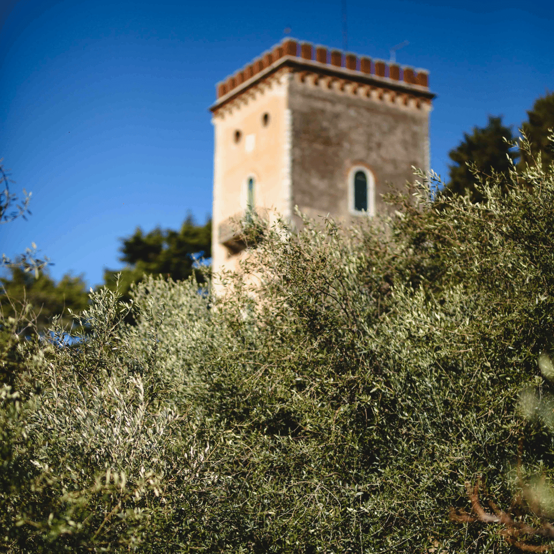 Inaugurazione "Parco degli Olivi"