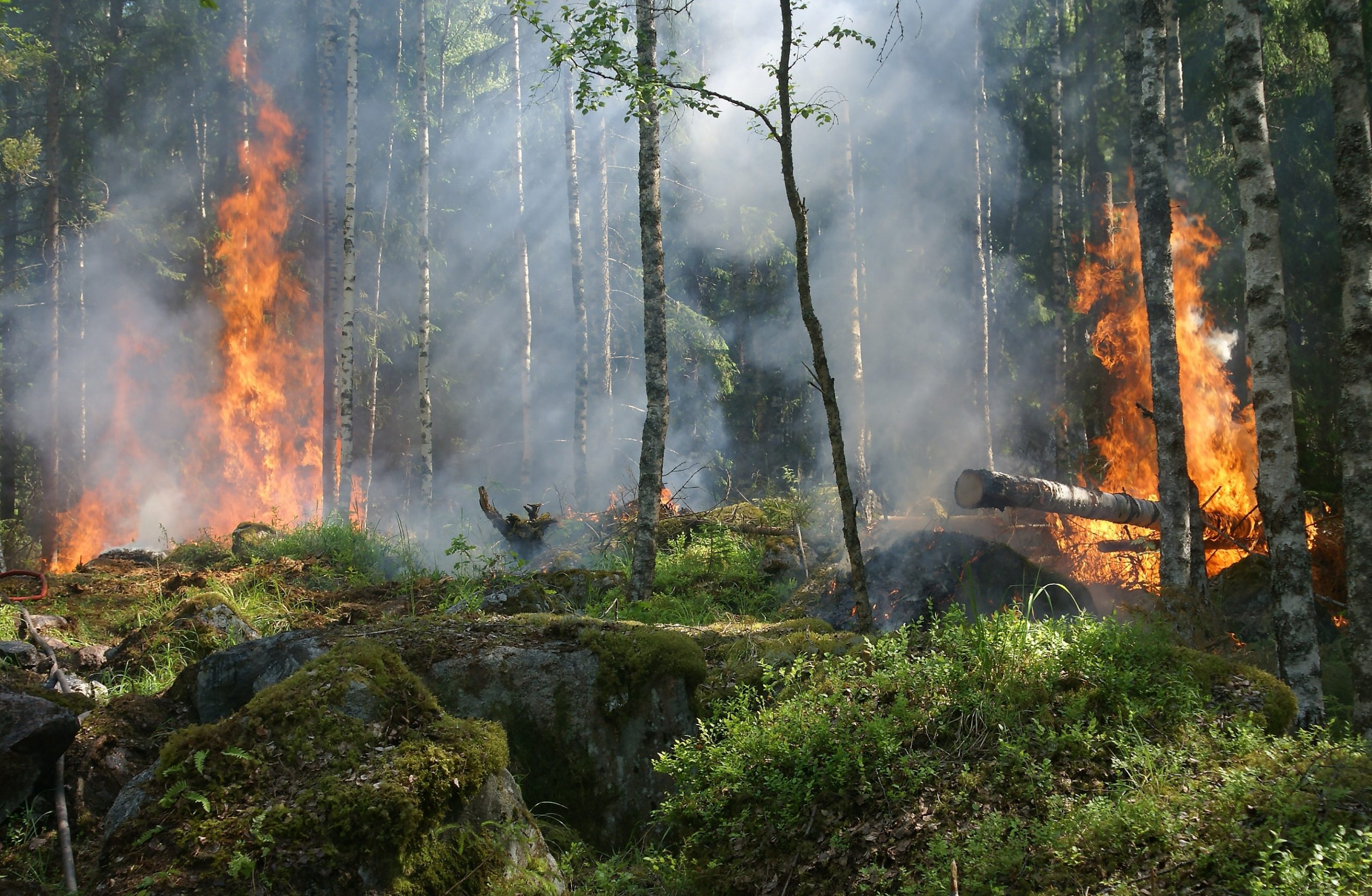 Stato di grave pericolosità per incendi boschivi