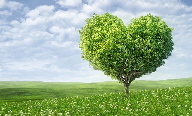 La domenica di Puliamo Cavaion – Grande pomeriggio ecologico