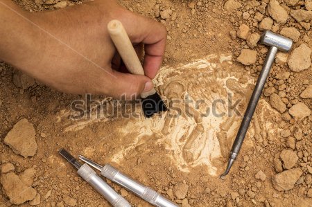 Archeofesta