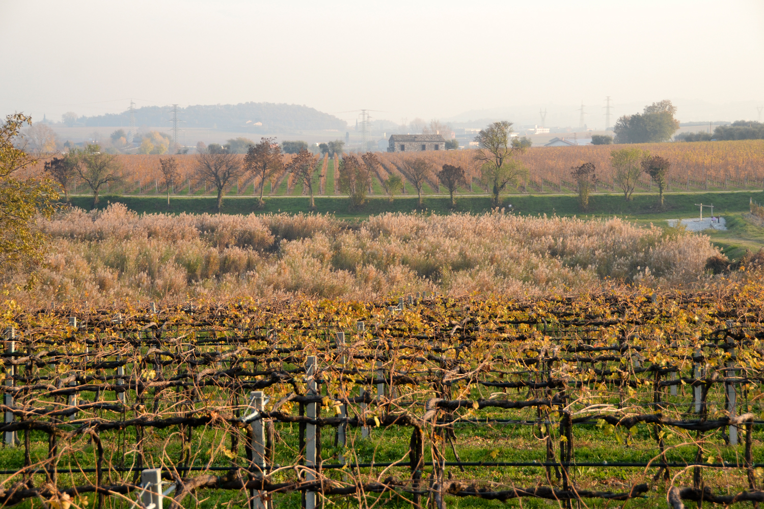 Passeggiata autunnale nella campagna cavaionese