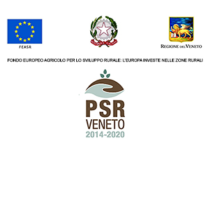 Qualificazione di un tratto del sentiero Val del Tasso e messa in sicurezza del ponte per il collegamento escursionistico tra il Garda e la Valpolicella