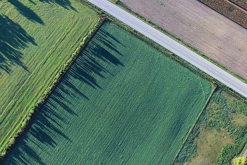 Concessione di un'area di proprietà comunale ubicata in località Policchia - Secondo Esperimento