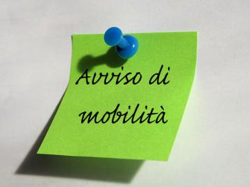 Avviso di mobilità esterna volontaria (art. 30 del d.lgs. 165/2001) per n. 1 posto a tempo pieno e indeterm. operaio profess.le cat. b – pos.eco. b1 da assegnare all’area edilizia pubblica.